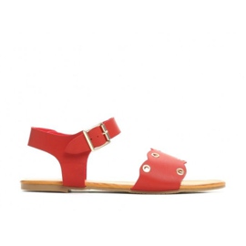 Vices 2213-19 Éd. rouge