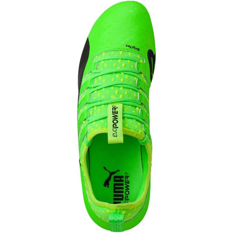 Chaussures de football Puma Evo Power Vigor 2 Fg 103954 01 vert
