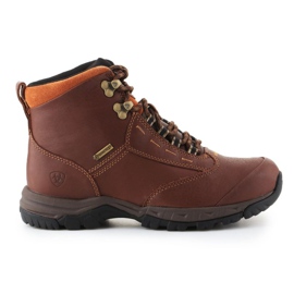 Chaussures Ariat Berwick Gtx W 10016298 brun