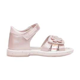 Vices Etaux 3SD730-45-rose