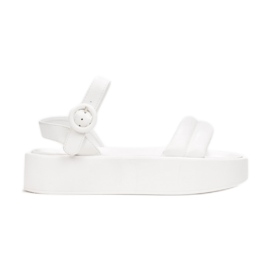 Vices Etaux 2257-71-blanc