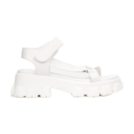 Vices Etaux 3942-71-blanc