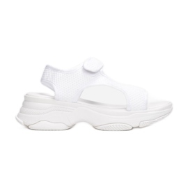Vices Etaux 0276-263-71-blanc