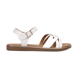 Vices Etaux 123-8-71-blanc