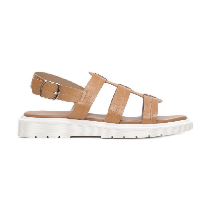 Vices 1957-10-68-chameau brun