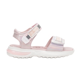 Vices Etaux C-T9231-45-rose Vices Etaux C-T9231-45-rose