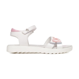 Vices Etaux B-3156-83-blanc / rose
