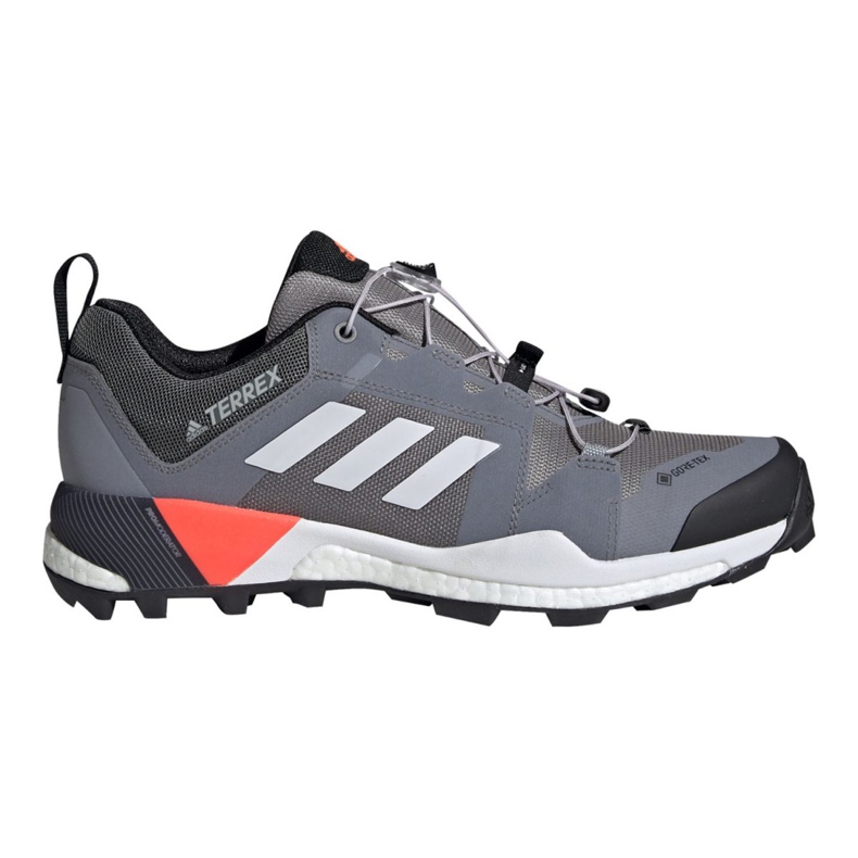 Chaussures Adidas Terrex Skychaser Gtx M EG2868 multicolore