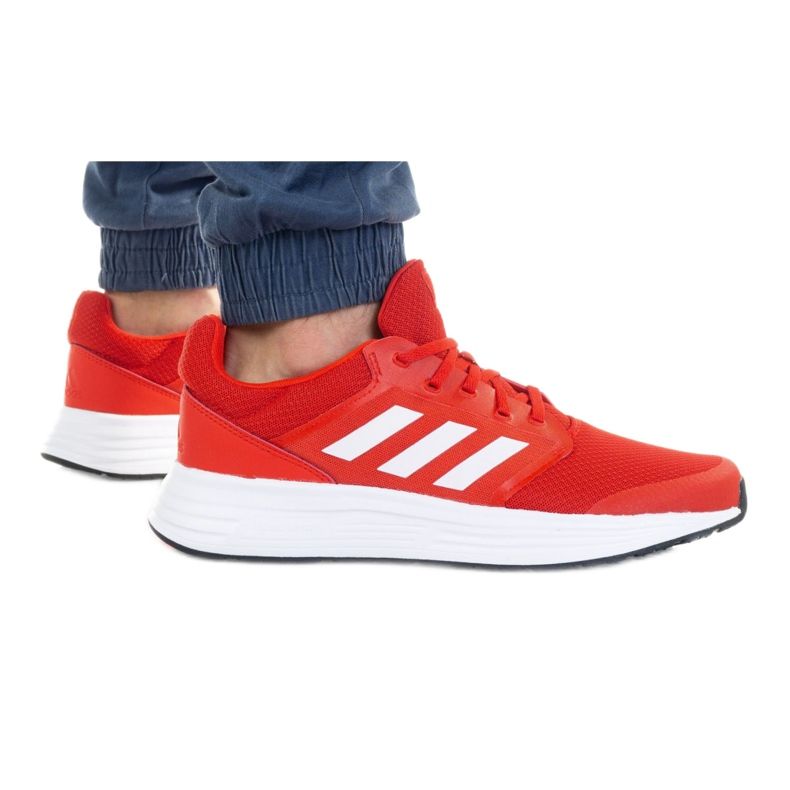 Chaussures adidas Galaxy 5 Vived M FY6721 rouge