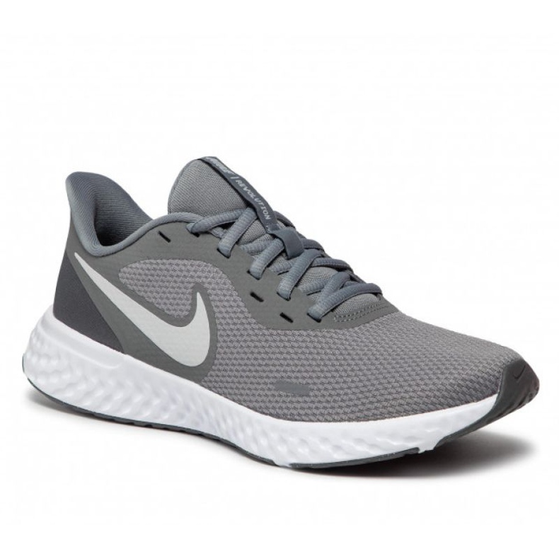 Chaussure Nike Revolution 5 M BQ3204-005 gris
