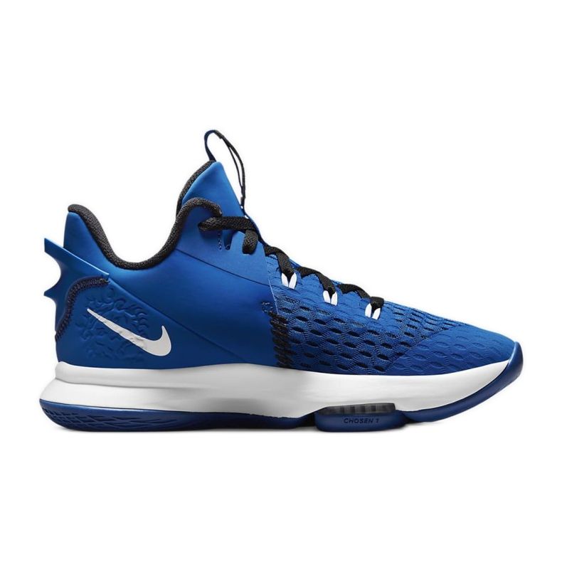 Nike Lebron Témoin VM CQ9380-400 multicolore bleu