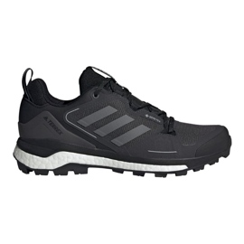 Chaussures Adidas Terrex Skychaser 2 Gtx M FX4547 noir