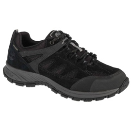 Chaussures Timberland Sadler Pass Gtx A1PG2 noir