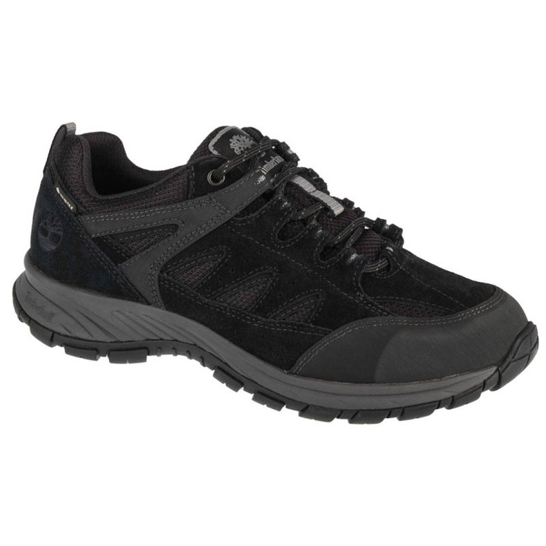 Chaussures Timberland Sadler Pass Gtx A1PG2 le noir