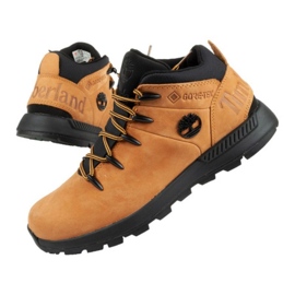 Chaussures Timberland Sprint Trekker Gtx M TB0A2H85231 brun