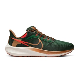 Chaussure Nike Air Zoom Pegasus 39 AIR Hola Lou M DO9500-300 vert Chaussure Nike Air Zoom Pegasus 39 AIR Hola Lou M DO9500-300 vert