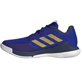 Chaussures de volley adidas CrazyFlight Mid M HQ3488 bleu bleu