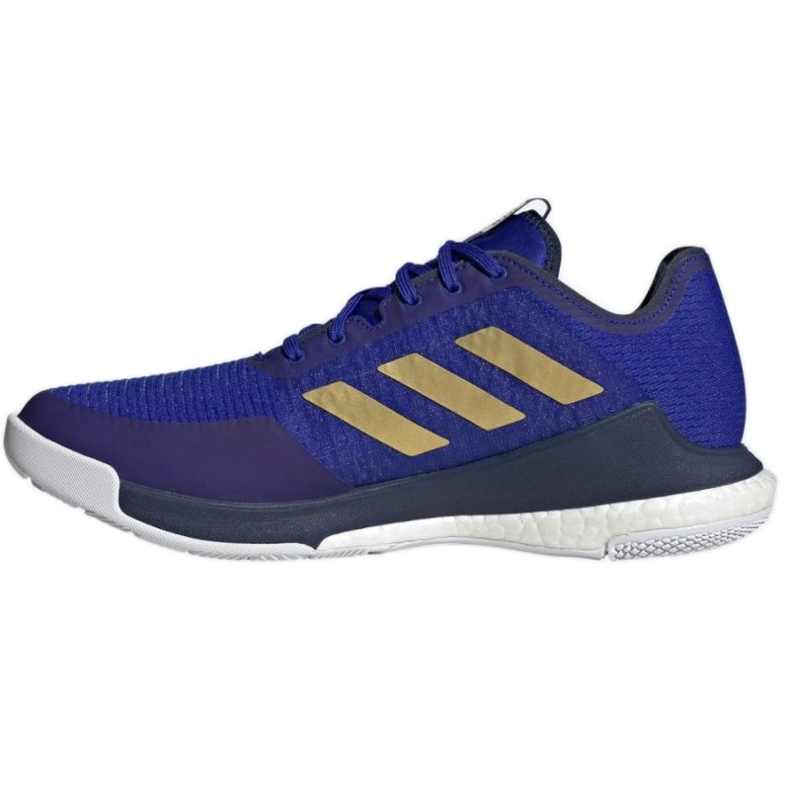 Chaussures de volley adidas CrazyFlight Mid M HQ3488 bleu bleu