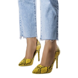 BM Talons jaunes Jasiah BM Talons jaunes Jasiah