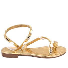 Seastar Tongs Askren Gold à coquillages d'or