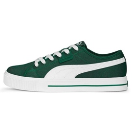 Chaussures Puma Ever Fs Cv M 386393 04 vert