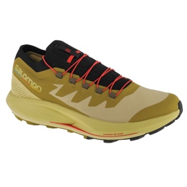 Chaussures Salomon Pulsar Trail-Pro M 415936 vert