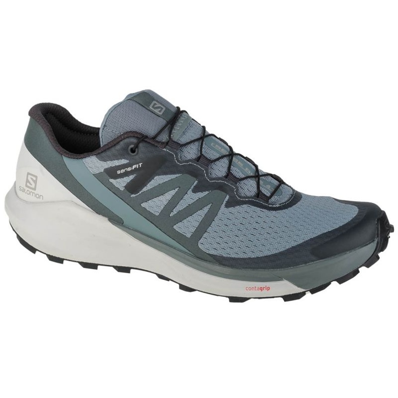 Chaussures Salomon Sense Ride 4 M 412997 bleu