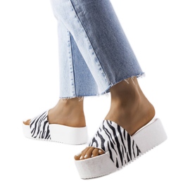 Diapositives AE35 Zebra blanche