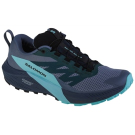 Chaussures Salomon Sense Ride 5 Gtx M 471474 bleu