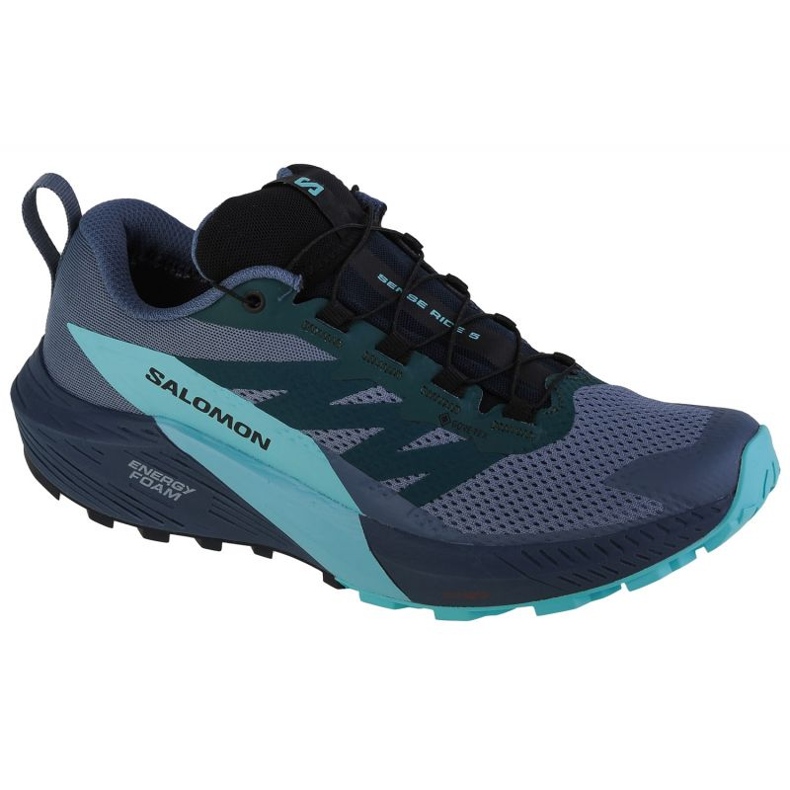 Chaussures Salomon Sense Ride 5 Gtx M 471474 bleu