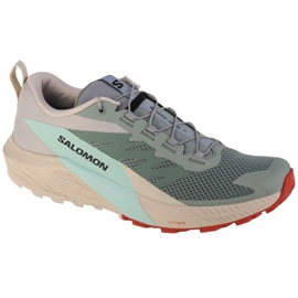 Chaussures Salomon Sense Ride 5 M 472117 vert