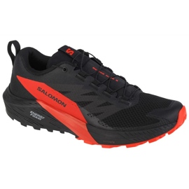 Chaussures Salomon Sense Ride 5 M 472143 noir
