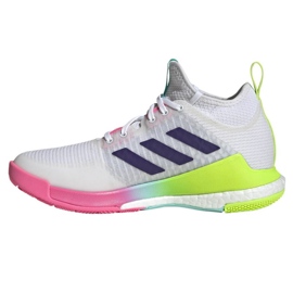 Chaussures de volley adidas CrazyFlight Mid W HP3337 blanc blanc
