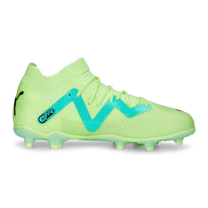 Chaussures de football Puma Future Pro FG/AG Jr 107194 03 vert vert Chaussures de football Puma Future Pro FG/AG Jr 107194 03 vert vert