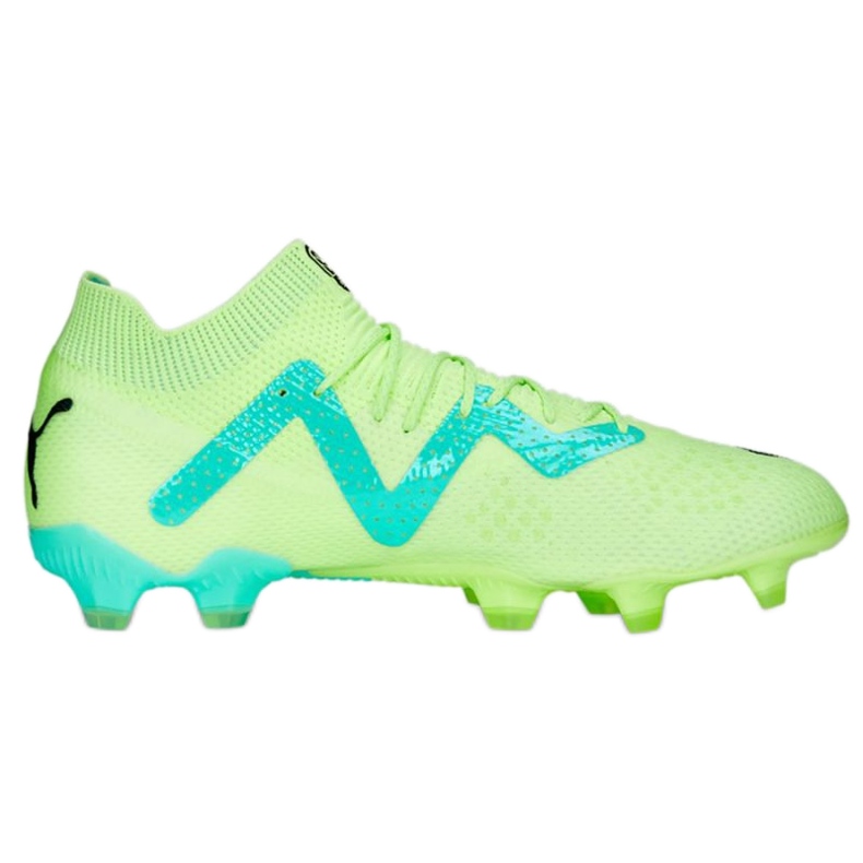 Chaussures de football Puma Future Ultimate FG/AG M 107165 03 vert vert