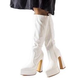 Bottes blanches sur un poteau massif de Sovizzo