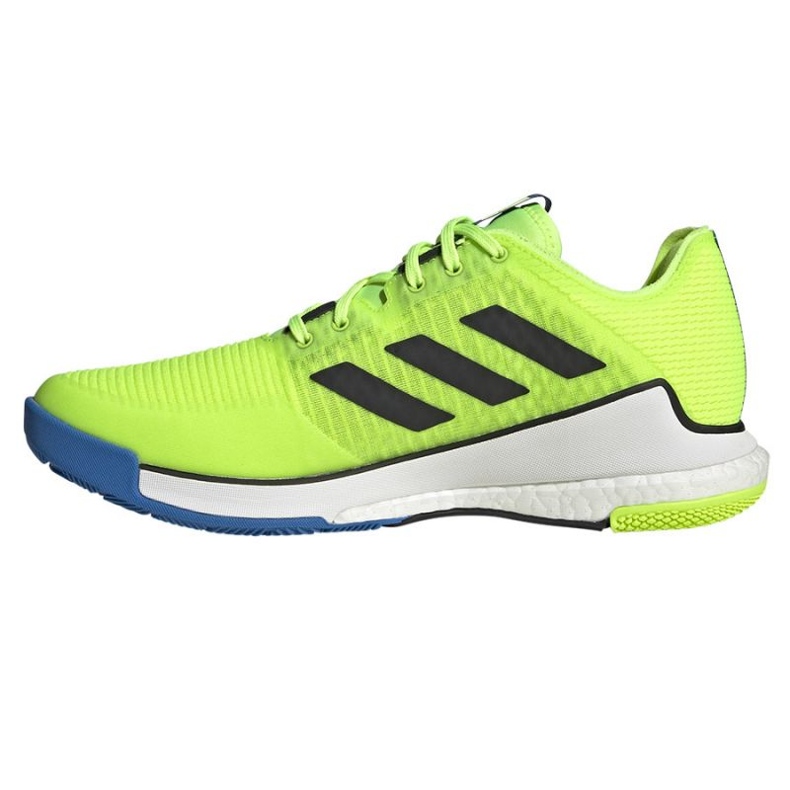 Chaussures de volley-ball Adidas CrazyFlight M HP3356 vert