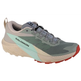 Chaussures de sport tout-terrain Salomon Sense Ride 5 472123 vert
