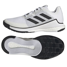 Chaussures de volley-ball Adidas CrazyFlight M HP3355 blanc