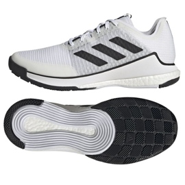 Chaussures de volley-ball Adidas CrazyFlight M HP3355 blanche