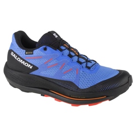Chaussures de course Salomon Pulsar Trail Gtx M 416080 bleu