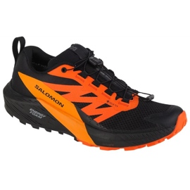 Chaussures de course Salomon Sense Ride 5 Gtx M 471473 multicolore