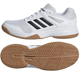 Chaussures de volley-ball Adidas Speedcourt M IE8032 blanche