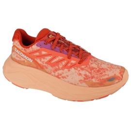 Chaussures de course Salomon Aero Glide 2 W 474266 rose Chaussures de course Salomon Aero Glide 2 W 474266 rose
