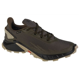 Chaussures de course Salomon Alphacross 4 Gtx M 471169 vert