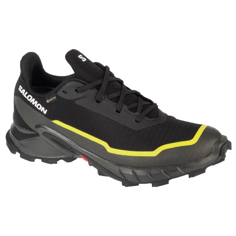 Chaussures Salomon Alphacross 5 Gtx 474604 le noir