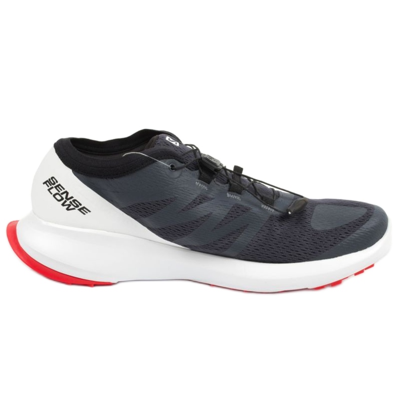 Chaussures Salomon Sense Flow 409672 Gtx gris Chaussures Salomon Sense Flow 409672 Gtx gris