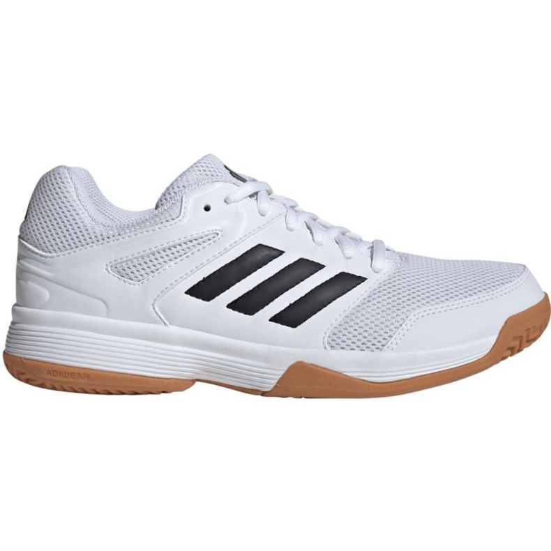 Chaussures de volley-ball Adidas Speedcourt In IH3159 blanche