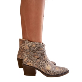 Santiags femme Serpent doré multicolore Santiags femme Serpent doré multicolore