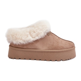 Bottes de neige à tige basse avec fourrure sur la plateforme Eco Suede Beige Foncé Neathoria